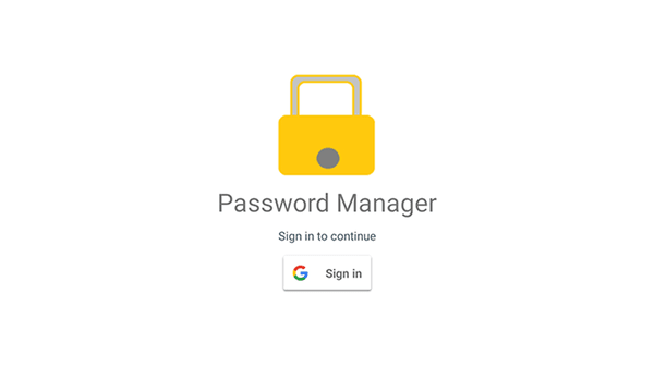Password manager project demo